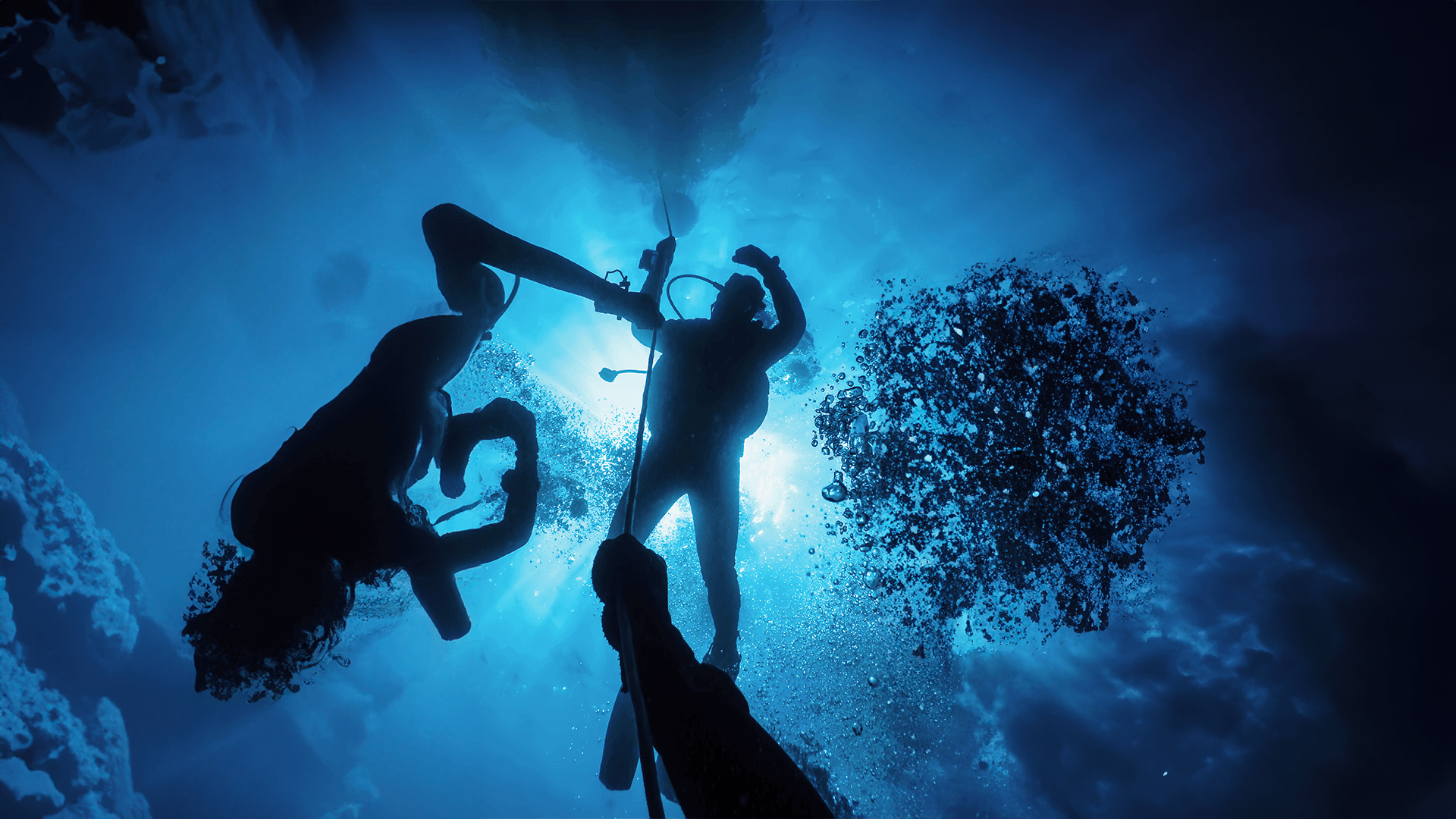 Peak Performance Buoyancy | 1 Day 2 Dives + 1 Fun Dive