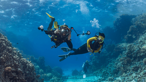 PADI Courses