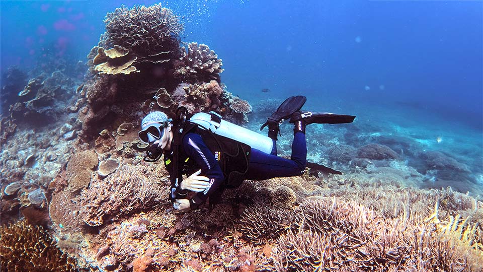 Mesmerizing Komodo Fun Dive | 3 Days 9 Dives