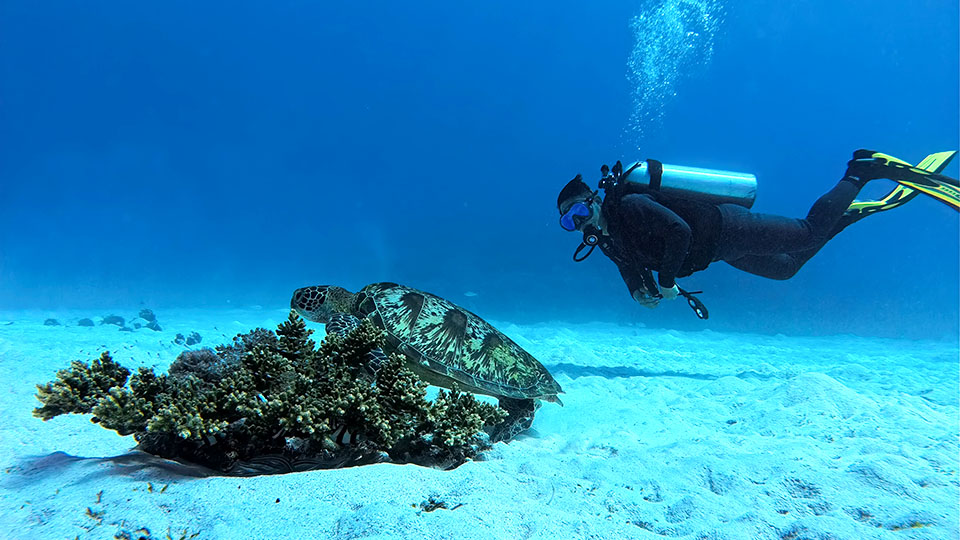 Tranquil Komodo Fun Dive | 1 Day 3 Dives